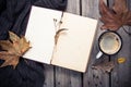 Vintage book, knitted sweater with autumn leaves and coffee mug Royalty Free Stock Photo