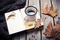 Vintage book, knitted sweater with autumn leaves and coffee mug Royalty Free Stock Photo