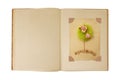Vintage book open with flower tree card design inside Royalty Free Stock Photo
