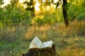 Vintage book of poetry outdoors under a tree Royalty Free Stock Photo