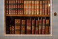 vintage books on bookshelf in wooden cabinet, library background Royalty Free Stock Photo