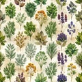 Vintage Botanical Herb and Spice Pattern with Various Green Plants and Colorful Flowers Royalty Free Stock Photo