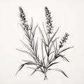 Minimalist Lavender Illustration With Realistic Rendering