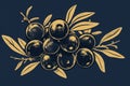 Vintage botanical olive illustration in traditional woodcut style for classic design projects