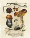 Vintage botanical poster. hand drawn watercolor floral art print with mushrooms.