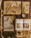 Vintage botanical study, books and illustration