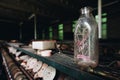 Vintage Bottle - Abandoned Lonaconing Silk Mill - Maryland
