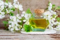 Vintage bottle with cork with essential oil tincture, infusion, perfume on the old wooden background. White flowers close up. Royalty Free Stock Photo