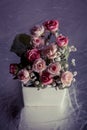 Vintage Bouquet in flower pot with black background. Royalty Free Stock Photo