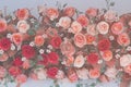 Vintage Bouquet of rose flower