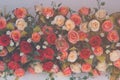 Vintage Bouquet of rose flower Royalty Free Stock Photo