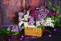 Vintage Bouquet of summer lilac flowers Royalty Free Stock Photo