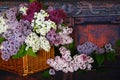 Vintage Bouquet of summer lilac flowers Royalty Free Stock Photo