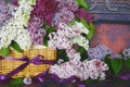 Vintage Bouquet of summer lilac flowers Royalty Free Stock Photo