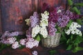 Vintage Bouquet of summer lilac flowers Royalty Free Stock Photo