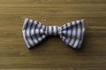 Vintage bow tie white and blue stripes Royalty Free Stock Photo