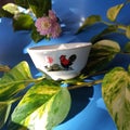 Vintage bowl mini with rooster image