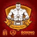 Vintage boxing emblem, label, badge, logo and designed elements.