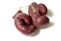 Vintage Boxing Gloves Royalty Free Stock Photo