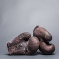 Vintage boxing gloves Royalty Free Stock Photo