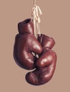 Vintage boxing Gloves, hanging Royalty Free Stock Photo