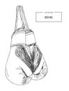 Vintage Boxing Gloves Hanging sketch vector.