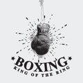 Vintage Boxing Gloves Vector Illustration Royalty Free Stock Photo