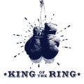 Vintage Boxing Gloves Vector Illustration Royalty Free Stock Photo