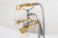 Vintage brass douche Royalty Free Stock Photo