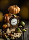 Vintage brass scales, weights and assorted green, yellow, orange pumpkins Royalty Free Stock Photo