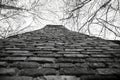 vintage brick chimney in black in white looking up to sky into trees Royalty Free Stock Photo