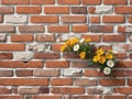 Vintage Brick Wall Backdrop with Exquisite Floral Design A Timeless Elegance for Photography and Design Projects Royalty Free Stock Photo