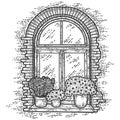 Vintage, brick window with flowers. Sketch scratch board imitation.
