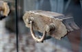 Vintage Bronze door handle on main entrance frameless glass door in one of the shop house hi Royalty Free Stock Photo