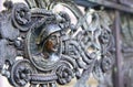 Vintage bronze fence with human head