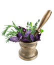 Vintage bronze mortar and pestle with fresh herbs