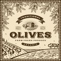 Vintage brown olives label Royalty Free Stock Photo