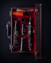 Vintage Bundy Wood Body Clarinet in Original Red Velvet-Lined Hard Case overhead shot Royalty Free Stock Photo