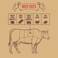 Vintage butcher cuts of beef scheme vector