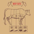 Vintage butcher cuts of beef scheme vector