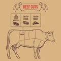 Vintage butcher cuts of beef scheme vector