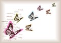 Vintage butterflies background