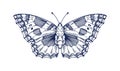 Vintage butterfly drawing. Detailed engraved moth, Aglais urticae sketch in old retro style. Hand-drawn insect