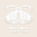 Vintage Butterfly paper cut style art icon in black color, isolated background. Scissored pattern. Retro collection for Royalty Free Stock Photo