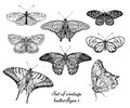 Vintage butterfly hand drawn vector set illustration