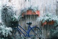 Vintage bycycle at tropical garden relax photo background