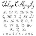 Vintage Calligraphic Script Font vector letters Royalty Free Stock Photo