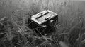 Vintage Camera In Tall Grass: Charming Realism Captured In Black And White