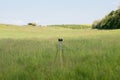 Vintage camera tripod on green meadow Royalty Free Stock Photo