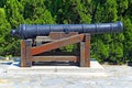 Vintage cannon gun